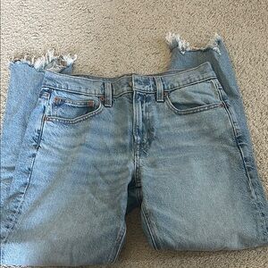 American Eagle Outfitters Blue Ankle Cropped Jeans